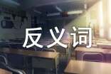 大班语言“反义词”教案