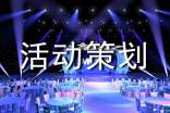 diy活动策划书