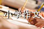 我的小秘密小学作文